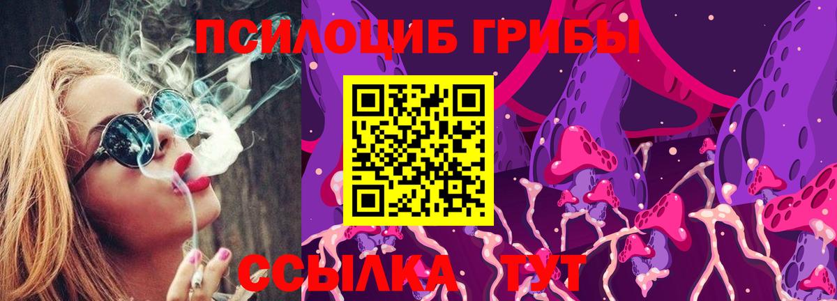 Галлюциногенные грибы ЛСД  Берёзовский  Псилоцибиновые грибы MAGIC MUSHROOMS 