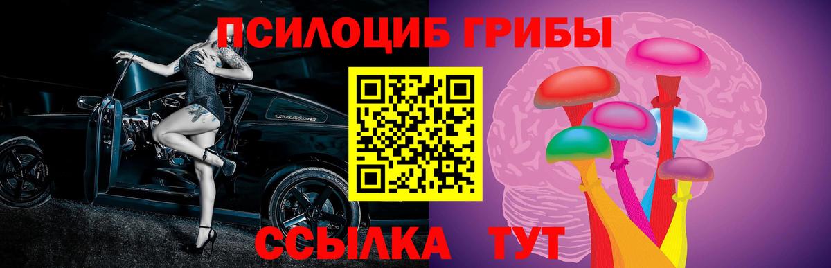 Галлюциногенные грибы Psilocybe Берёзовский